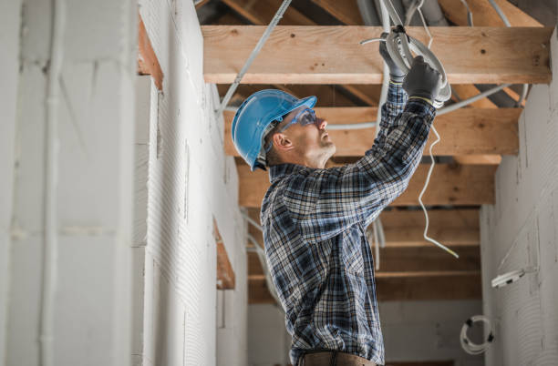 Best Electric Panel Repair  in Wolfforth, TX